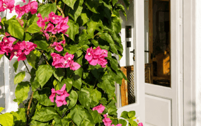 Unser Showroom in Ariany: Innenarchitektur zum Anfassen