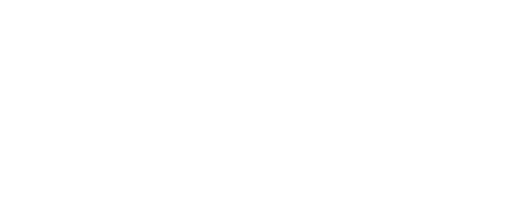 Palmaliving Logo Symbol Wht Titel 1920